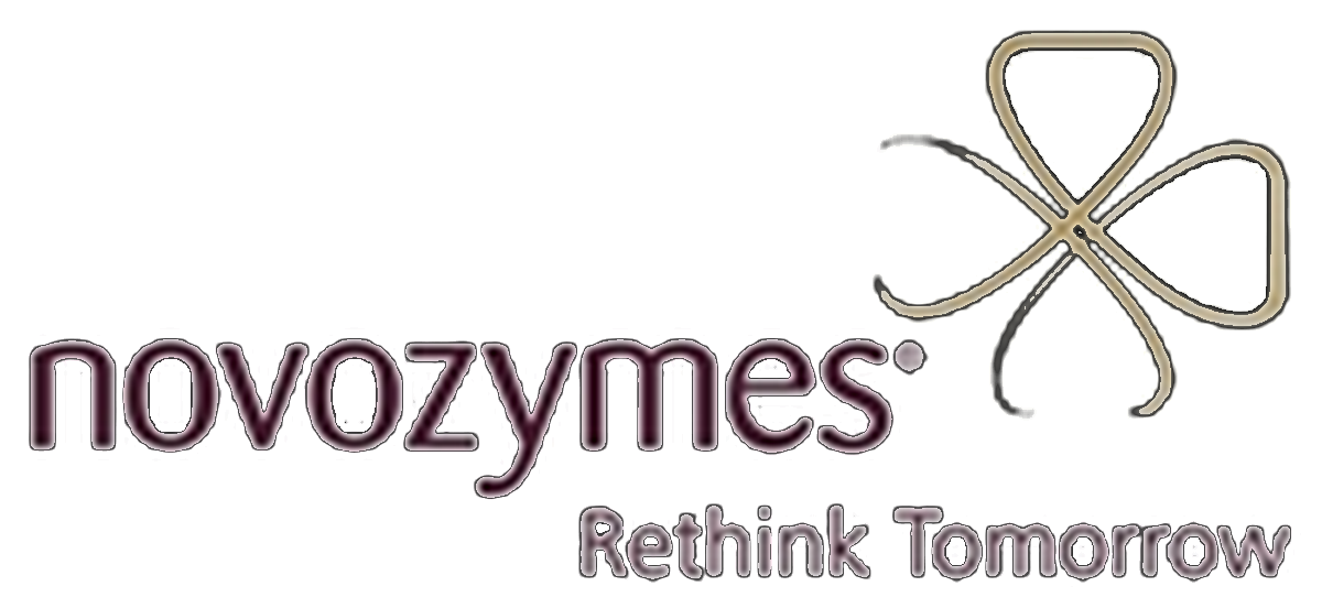 Novonesis logo before 2024 rebrand