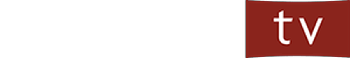 Acorn TV logo before 2019 rebrand