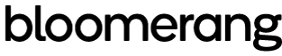 Bloomerang logo before 2025 rebrand