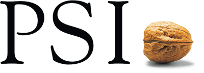 PSI Software logo before 2026 rebrand