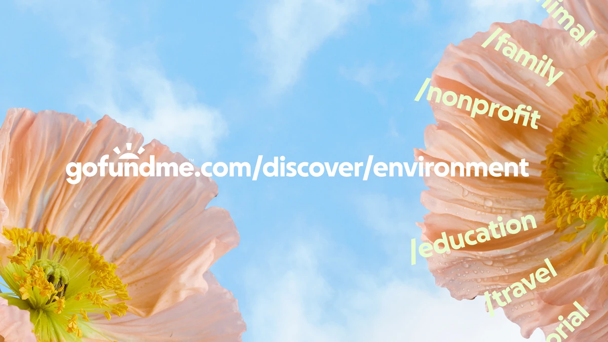 URL de GoFundMe sobre una foto en primer plano de flores rosas