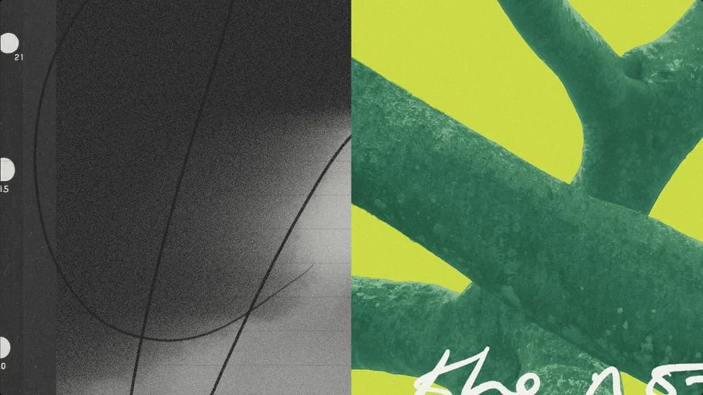 Collage de Granola con textura granulada en blanco y negro y una planta verde sobre fondo lima
