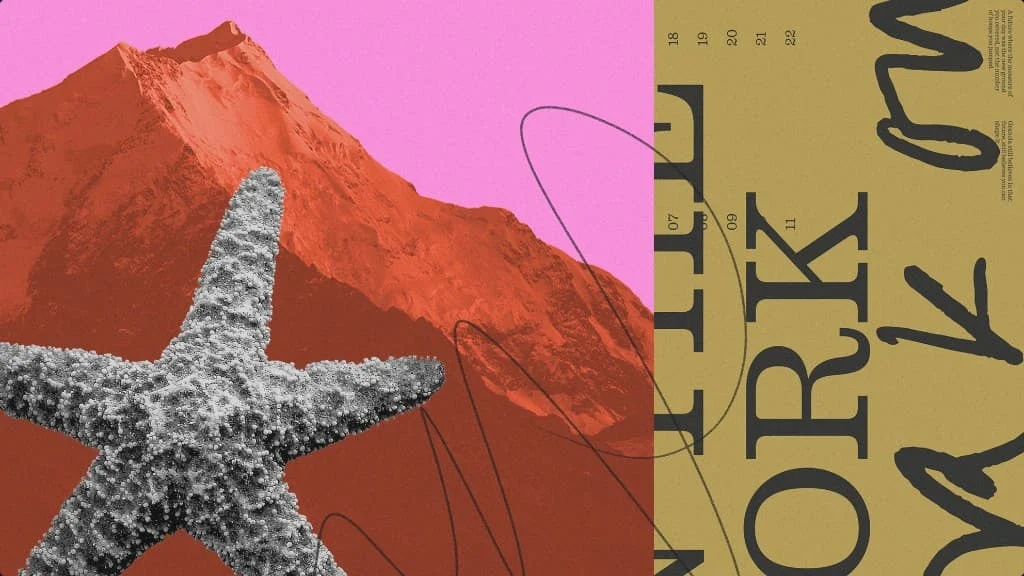 Collage de una montaña roja, una estrella de mar y tipografía con serifas en la paleta de Granola