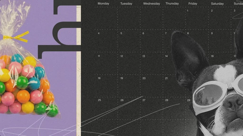Collage de bolas de chicle, una retícula de calendario y una foto de un perro en blanco y negro