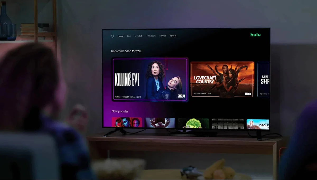 Hulu interface on a TV