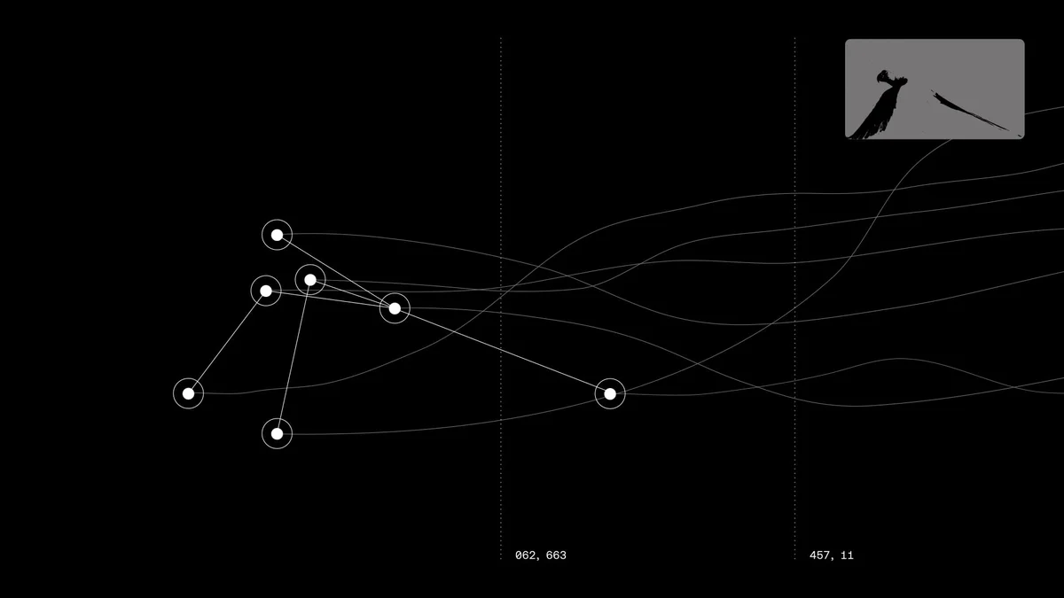 Gráfico de constelación de nodos y líneas sobre negro