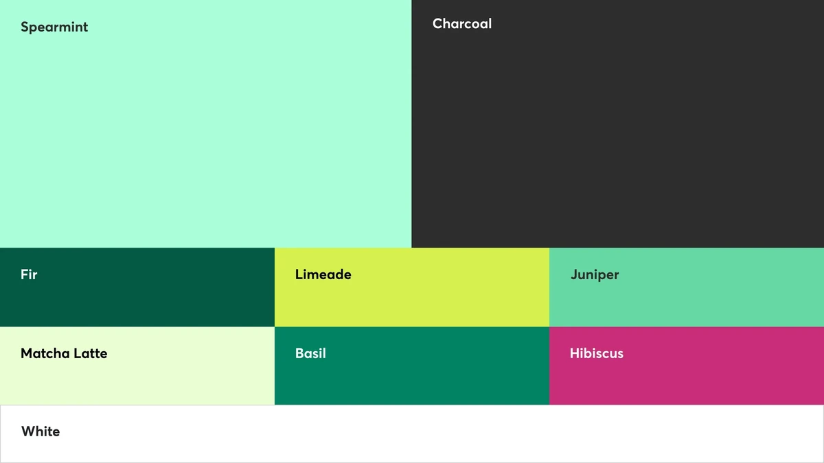 Mindbody colour palette blocks