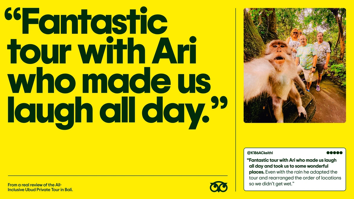 Tripadvisor review ad: 'Fantastic tour with Ari...' on yellow