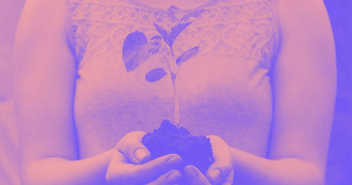 Webflow duotone image of hands holding a seedling